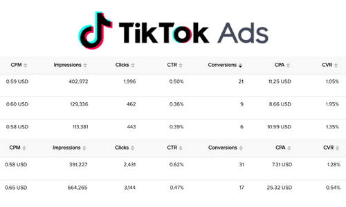 TikTok Ads Results Summary