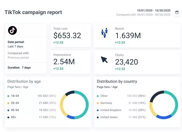 TikTok In-Feed Ad Results
