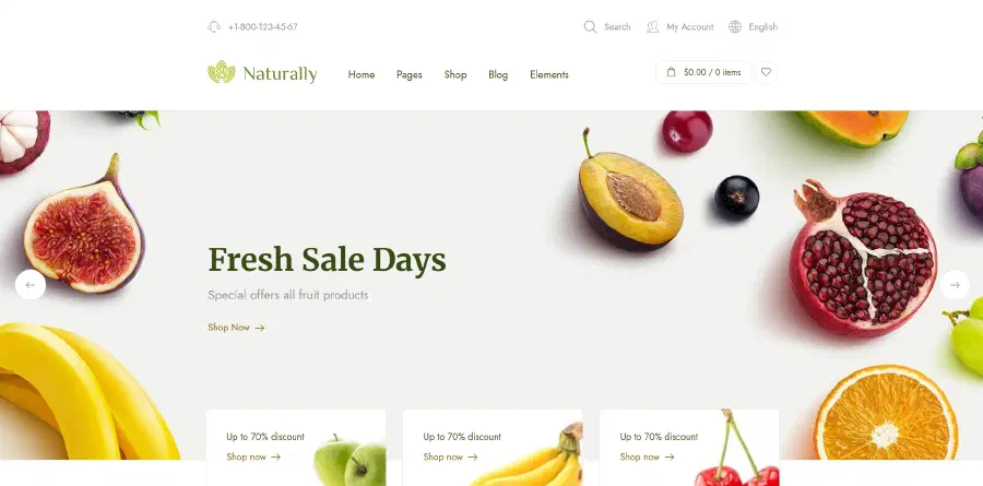 Website Design